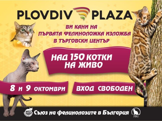 302507812_3290343824584513_3931300034497660544_n